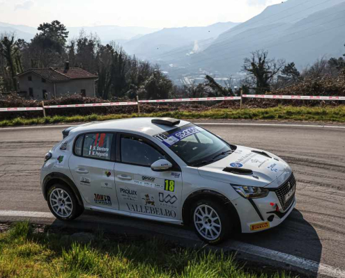 santero stefano pelagantini mirko, peugeot 208 gt line 130 rc4n #18