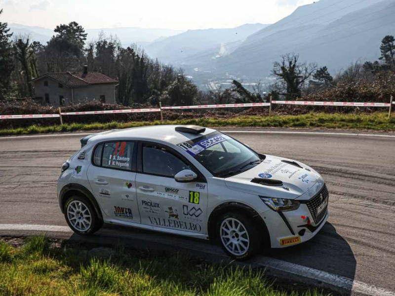 santero stefano pelagantini mirko, peugeot 208 gt line 130 rc4n #18