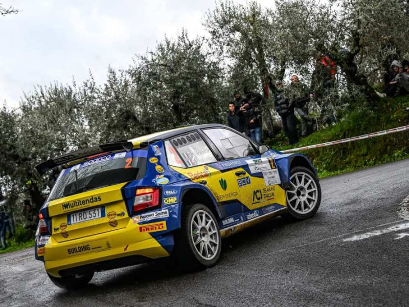 damiano de tommaso sofia d ambrosio, skoda fabia r5 #2