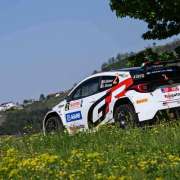 basso alba 2024