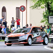 Rusce Abeti 2024 Rusce Abeti 2024