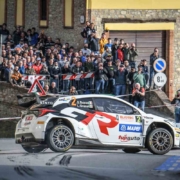 Basso Alba 2024