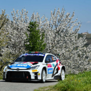 Andolfi, Alba 2025 Andolfi, Alba 2025