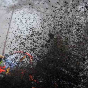 Dani Sordo il migliore del Day 1 a Monza, ma che fatica! Dani Sordo il migliore del Day 1 a Monza, ma che fatica!