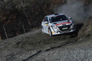 Jacopo Trevisani, Peugeot 208 Rally 4