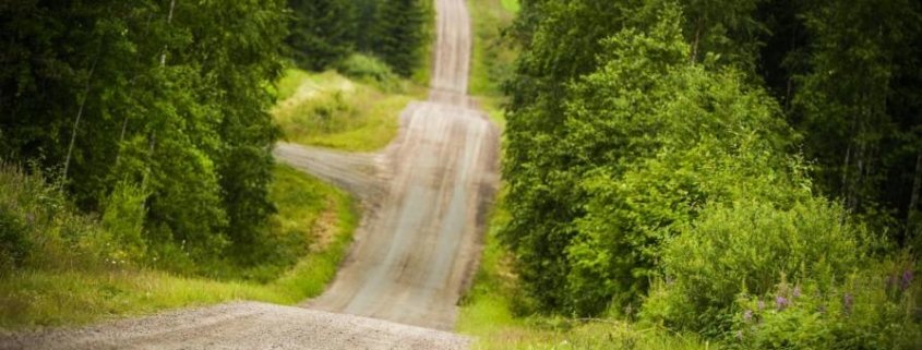 Le Ford M-Sport pronte ai salti del Rally di Finlandia