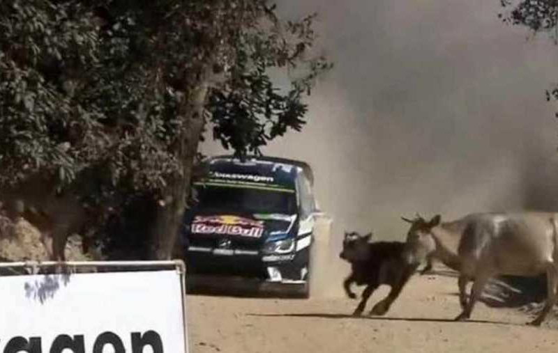 Sébastien Ogier, Rally del Messico 2016