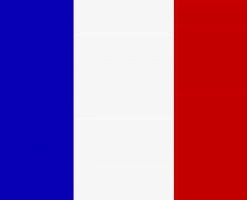 La bandiera francese sventola sui rally