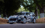 Puma WRC
